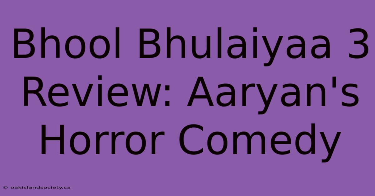 Bhool Bhulaiyaa 3 Review: Aaryan's Horror Comedy 