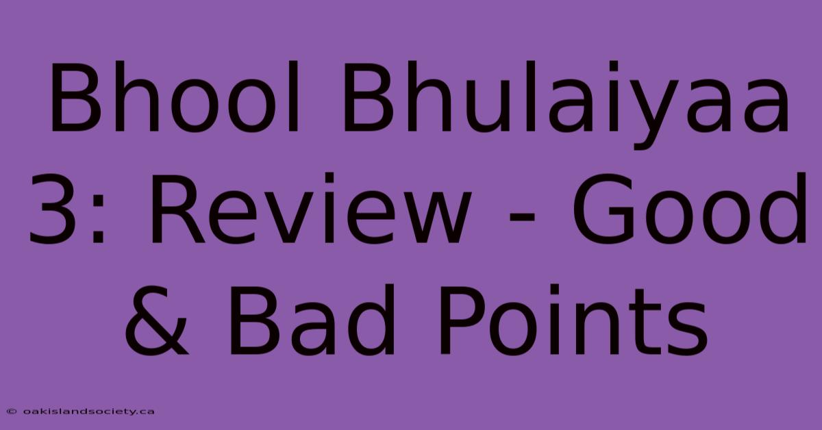 Bhool Bhulaiyaa 3: Review - Good & Bad Points 