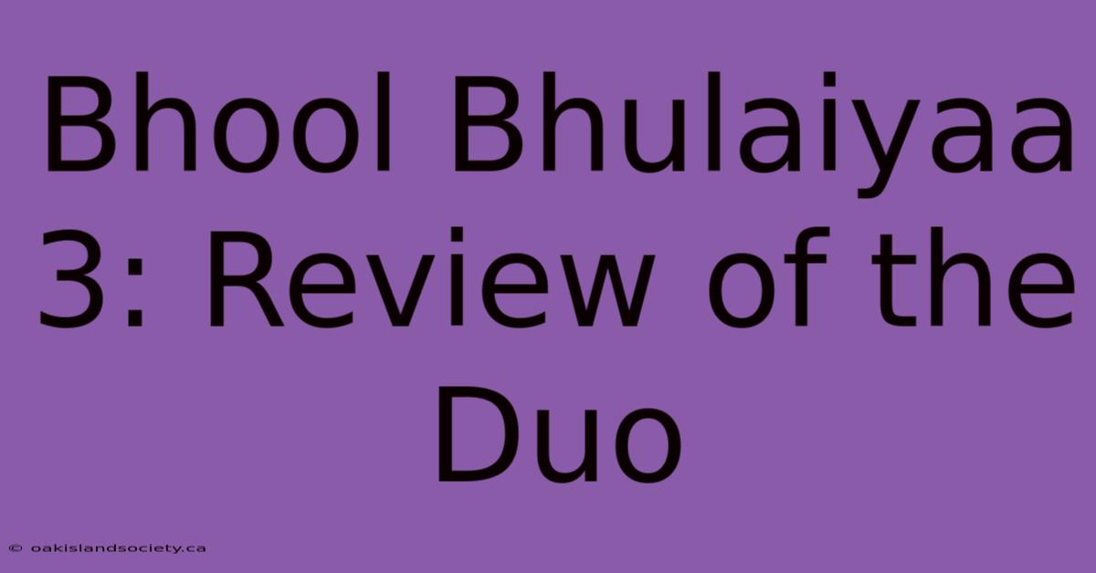 Bhool Bhulaiyaa 3: Review Of The Duo