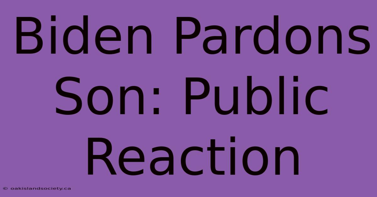 Biden Pardons Son: Public Reaction