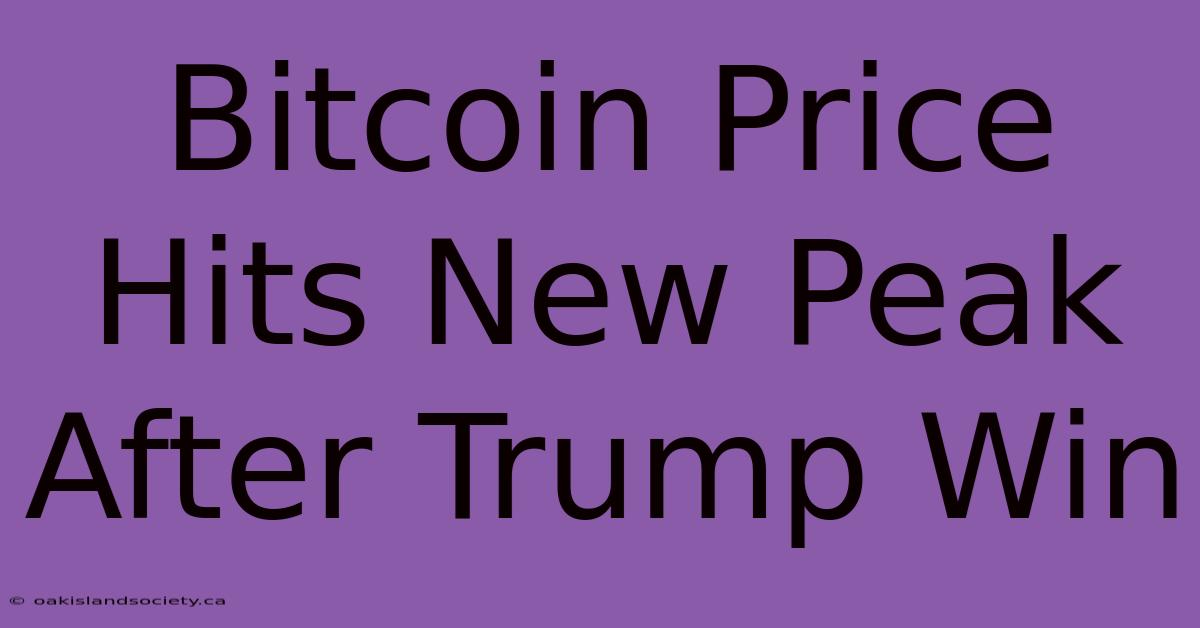 Bitcoin Price Hits New Peak After Trump Win 