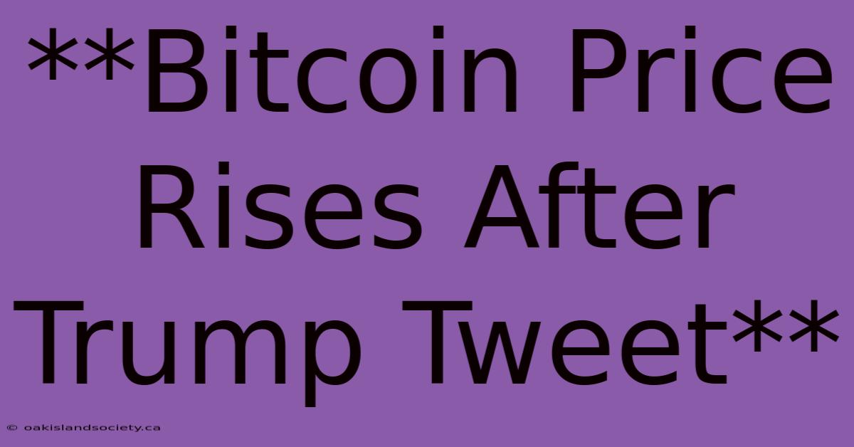 **Bitcoin Price Rises After Trump Tweet** 