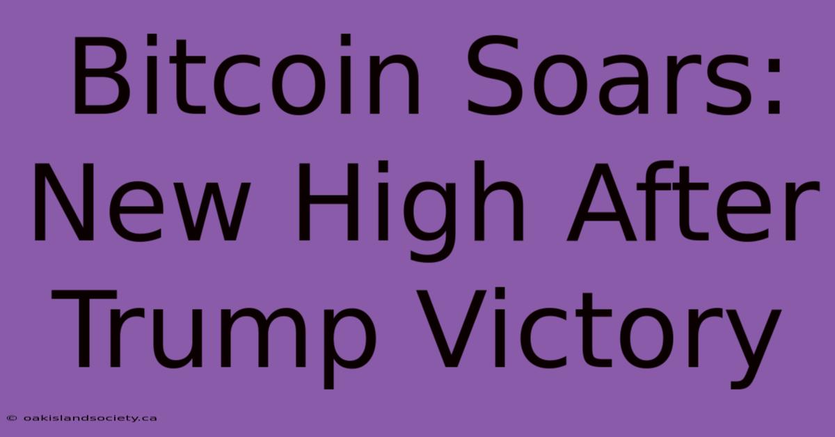 Bitcoin Soars: New High After Trump Victory