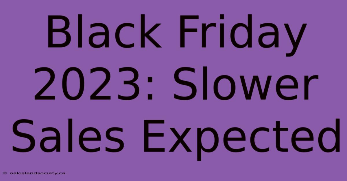 Black Friday 2023: Slower Sales Expected