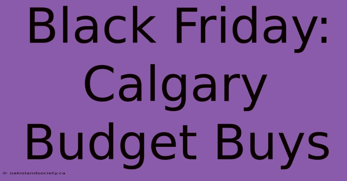 Black Friday: Calgary Budget Buys