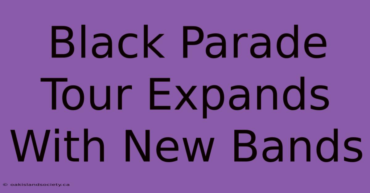 Black Parade Tour Expands With New Bands