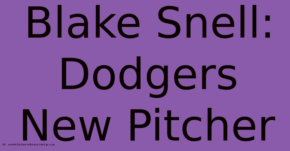 Blake Snell: Dodgers New Pitcher