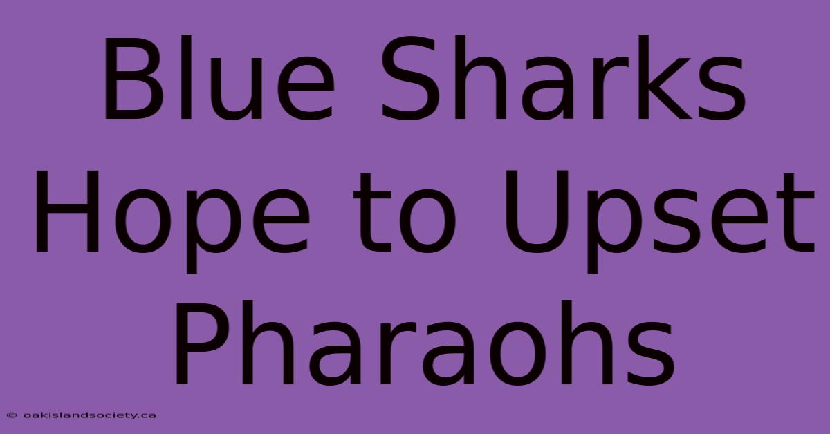 Blue Sharks Hope To Upset Pharaohs 