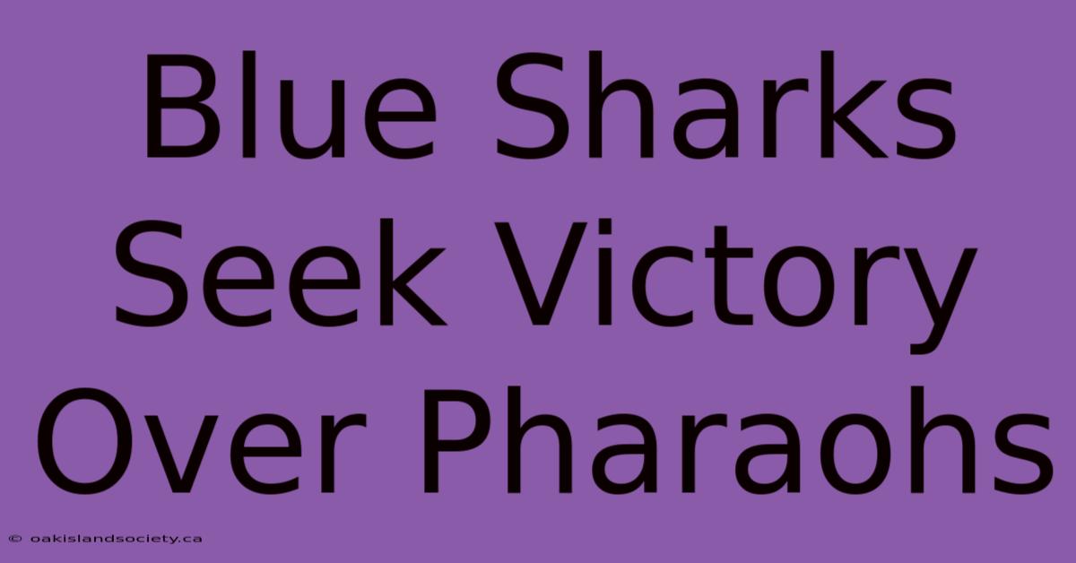 Blue Sharks Seek Victory Over Pharaohs