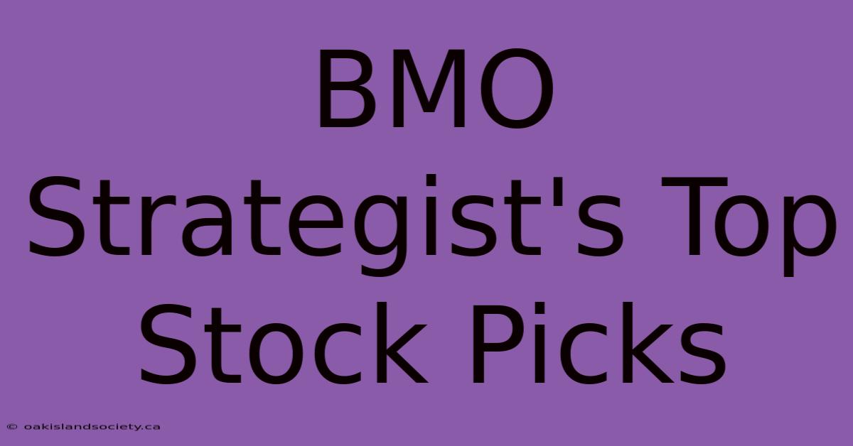 BMO Strategist's Top Stock Picks