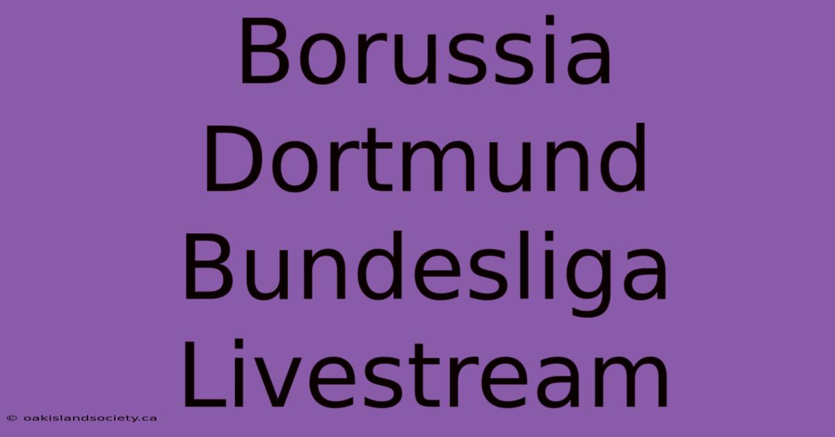 Borussia Dortmund Bundesliga Livestream