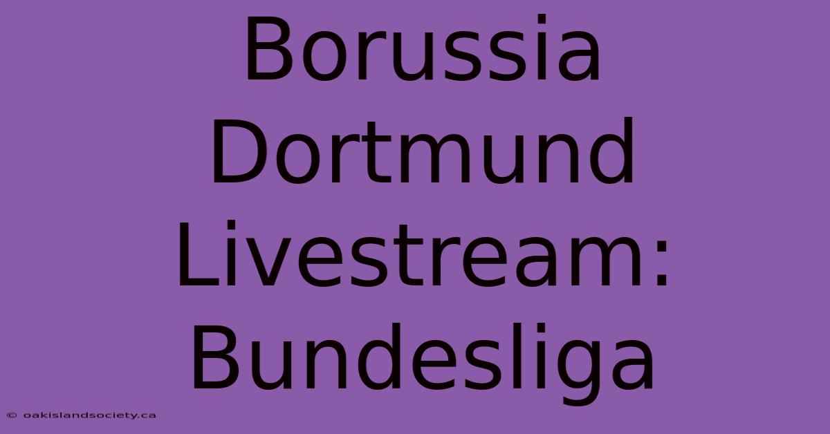 Borussia Dortmund Livestream: Bundesliga