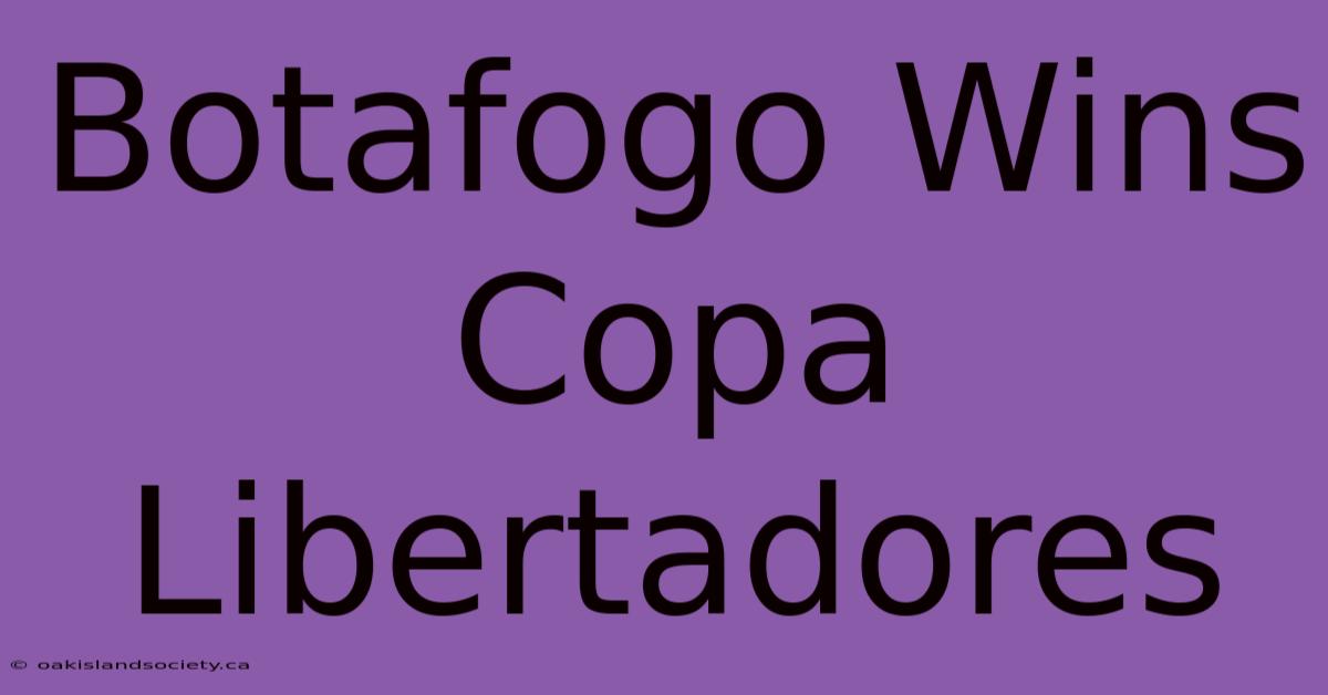 Botafogo Wins Copa Libertadores