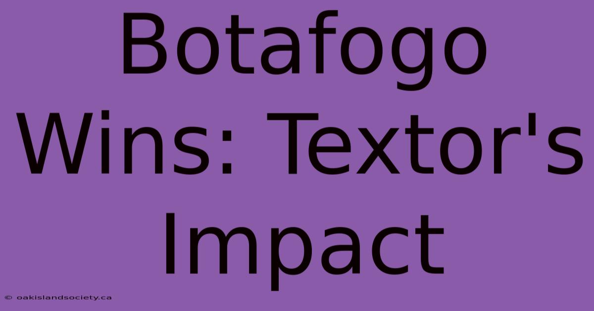 Botafogo Wins: Textor's Impact