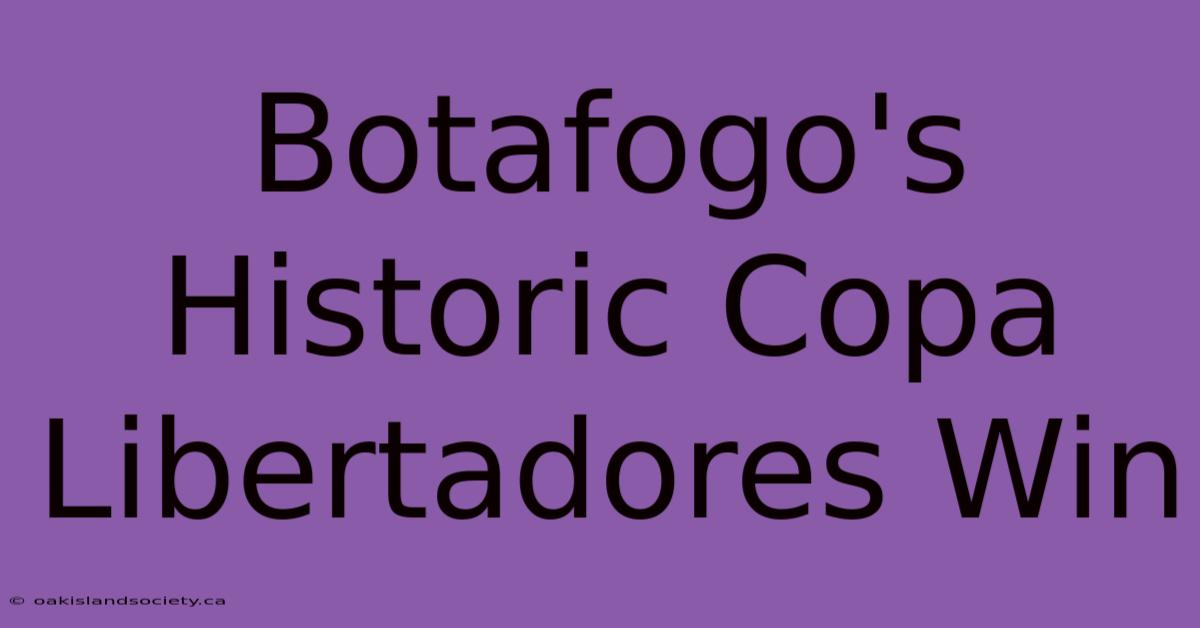 Botafogo's Historic Copa Libertadores Win