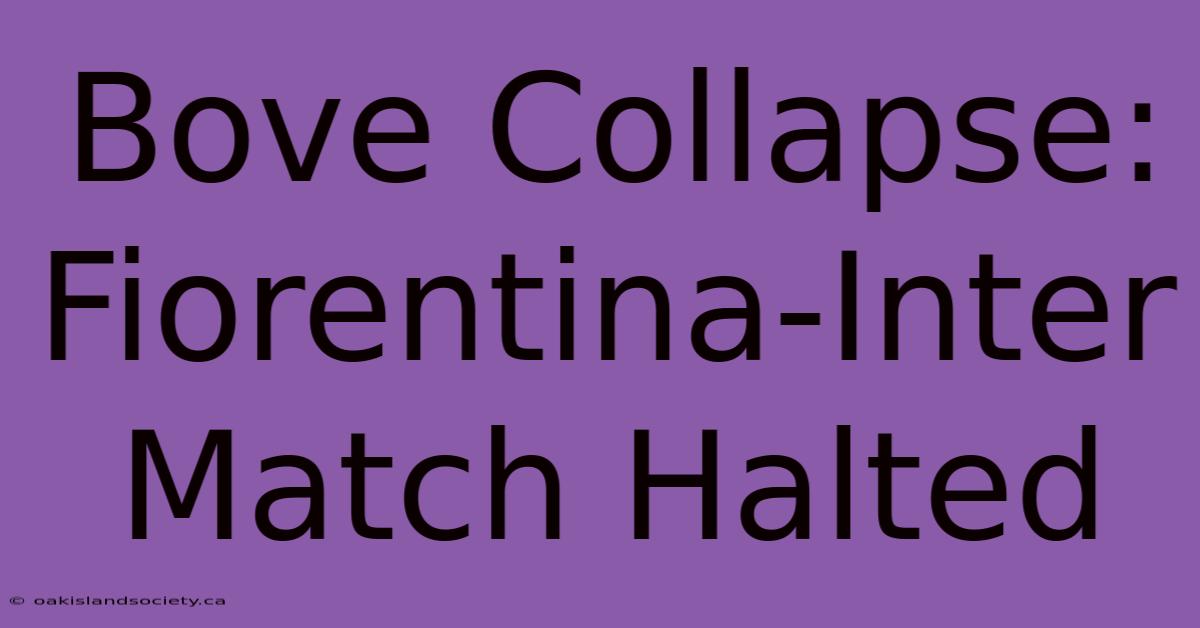 Bove Collapse: Fiorentina-Inter Match Halted