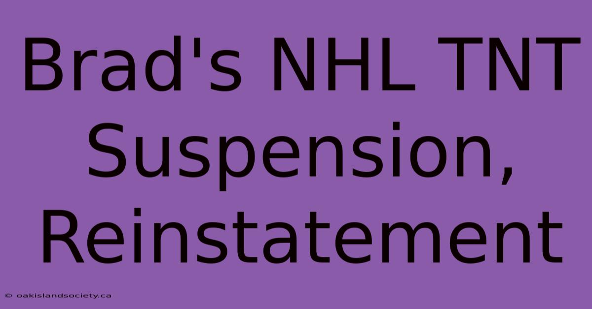 Brad's NHL TNT Suspension, Reinstatement