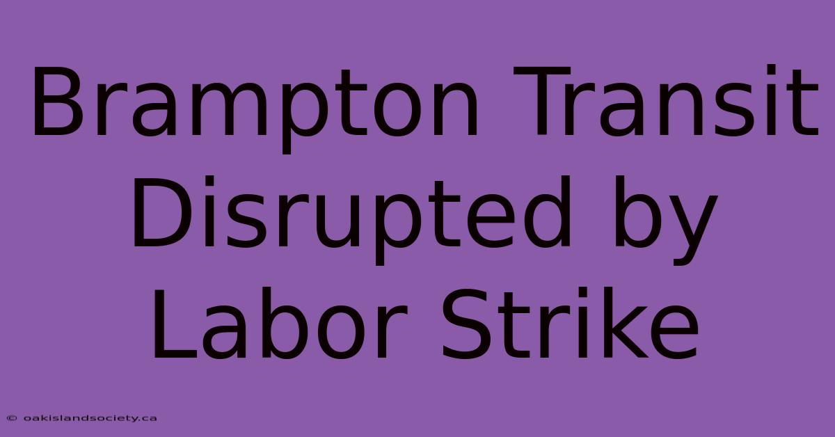 Brampton Transit Disrupted By Labor Strike