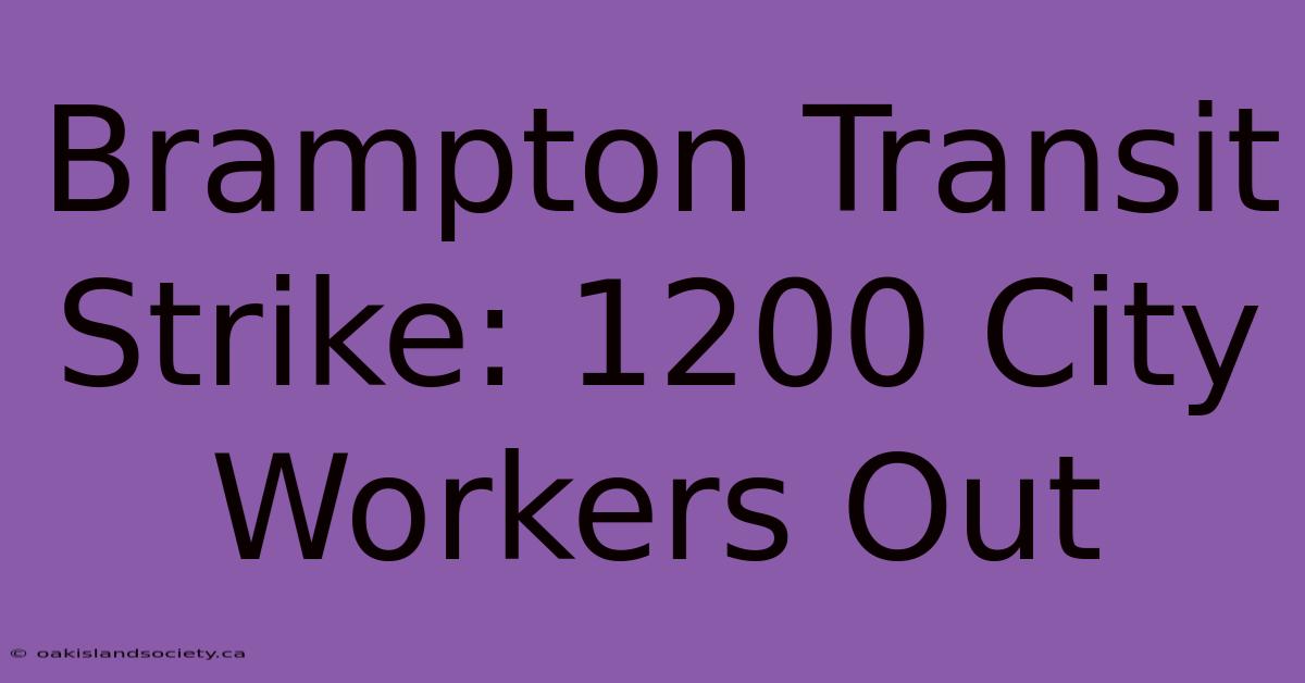 Brampton Transit Strike: 1200 City Workers Out