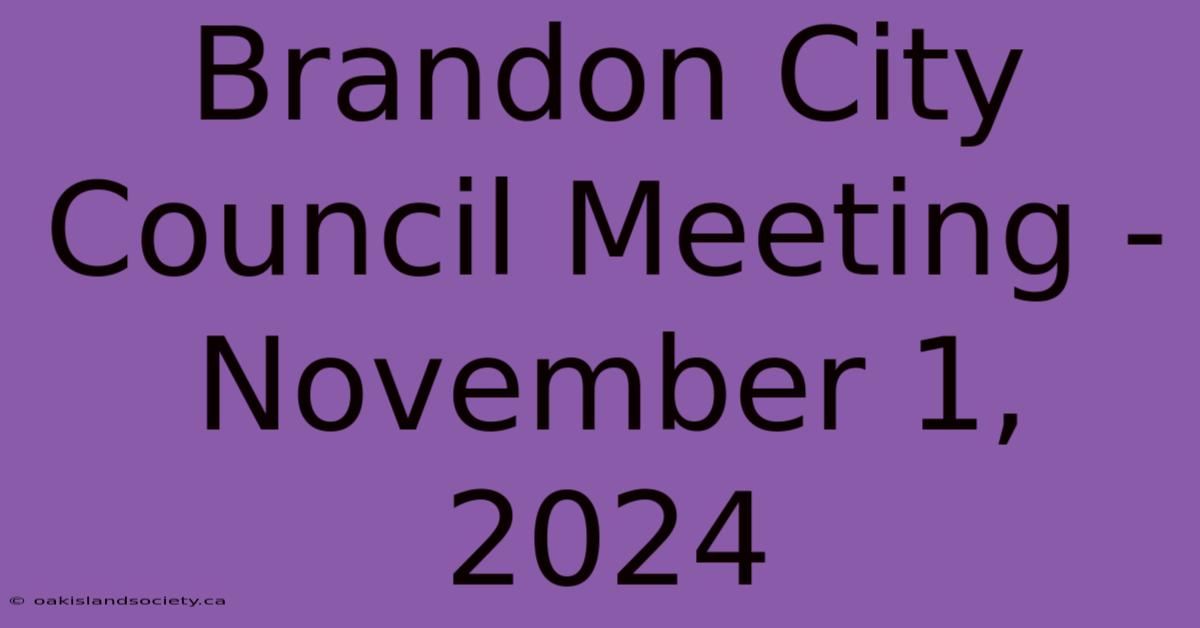 Brandon City Council Meeting - November 1, 2024