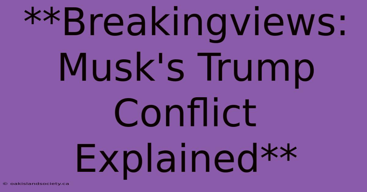 **Breakingviews: Musk's Trump Conflict Explained**