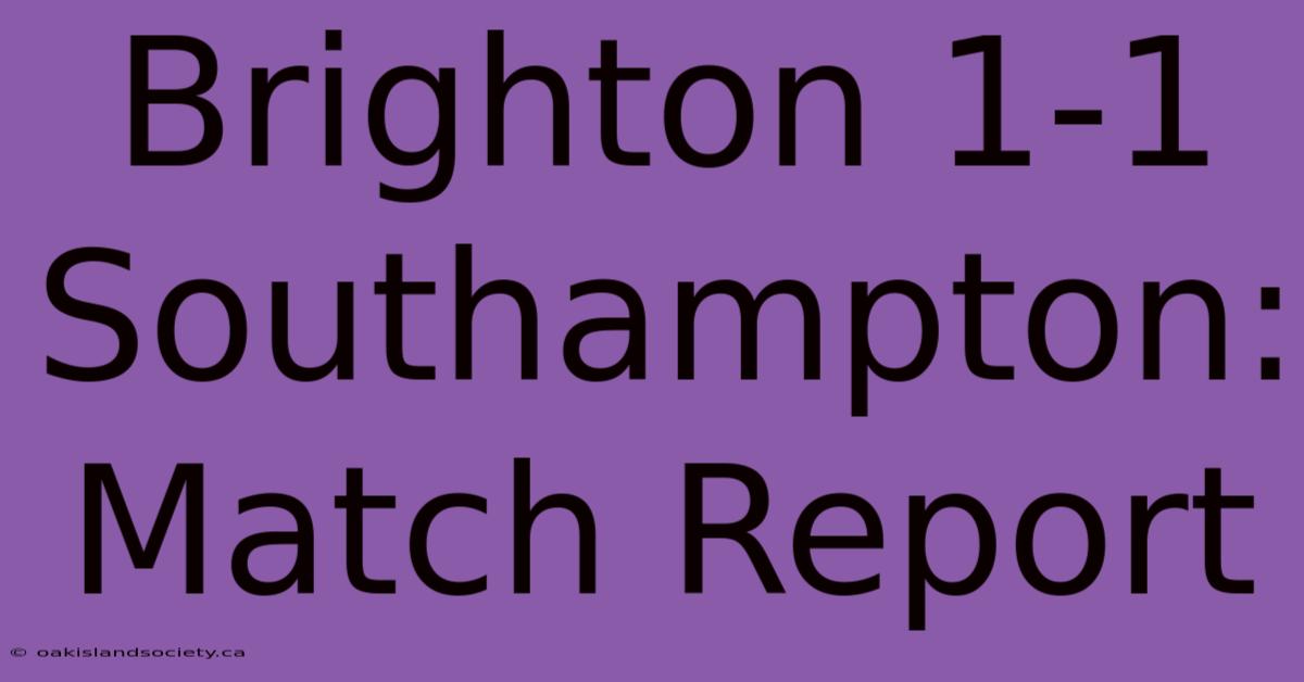 Brighton 1-1 Southampton: Match Report