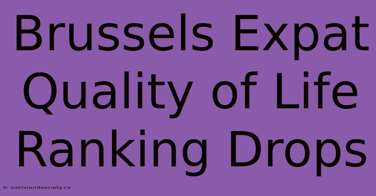 Brussels Expat Quality Of Life Ranking Drops