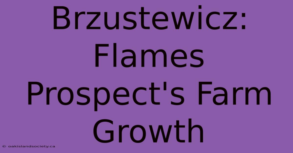 Brzustewicz: Flames Prospect's Farm Growth