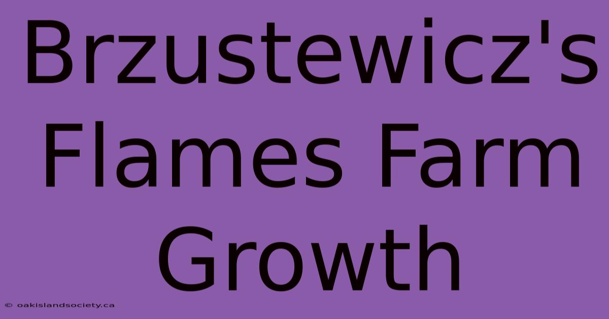 Brzustewicz's Flames Farm Growth