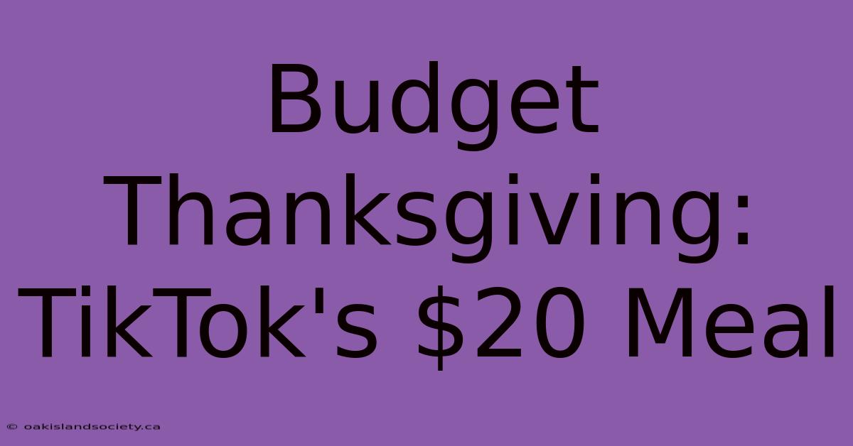 Budget Thanksgiving: TikTok's $20 Meal