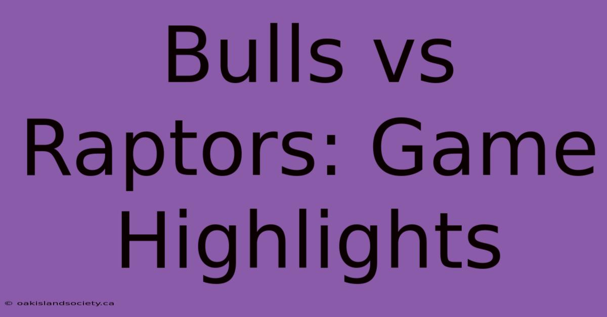 Bulls Vs Raptors: Game Highlights