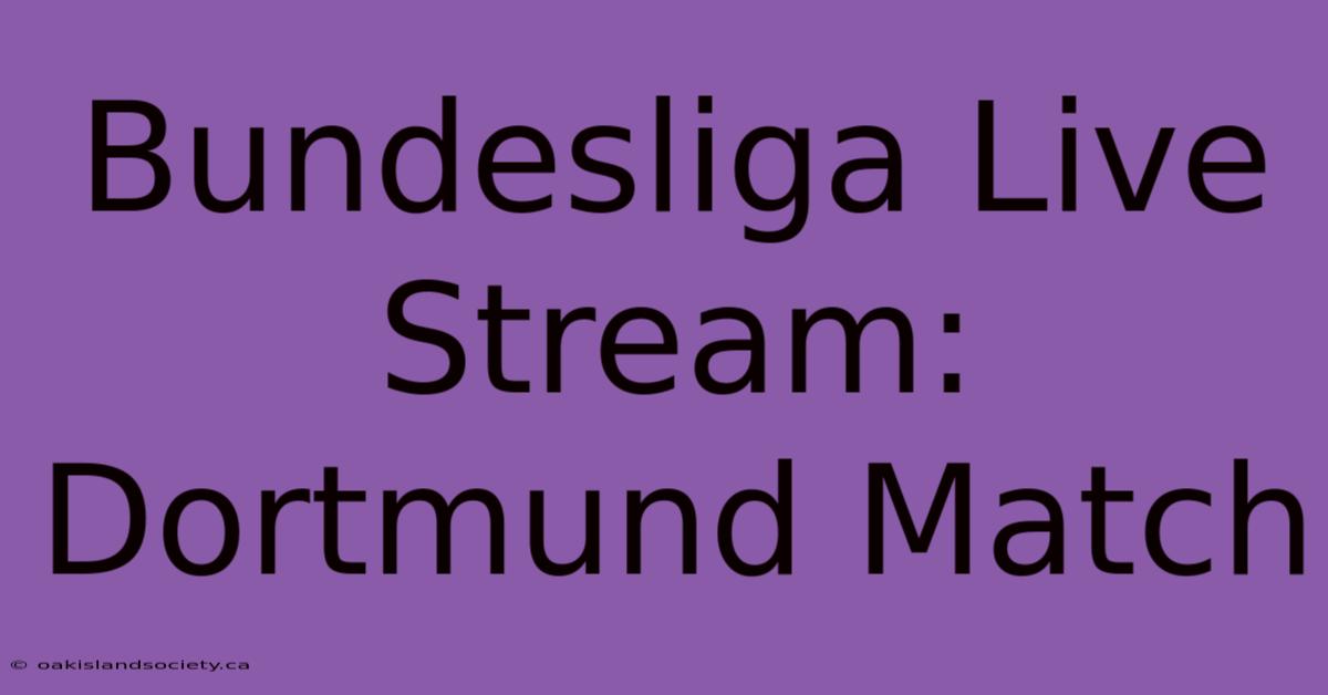 Bundesliga Live Stream: Dortmund Match