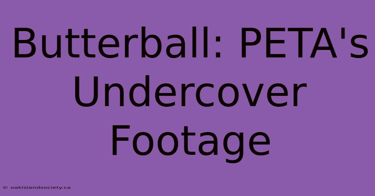 Butterball: PETA's Undercover Footage