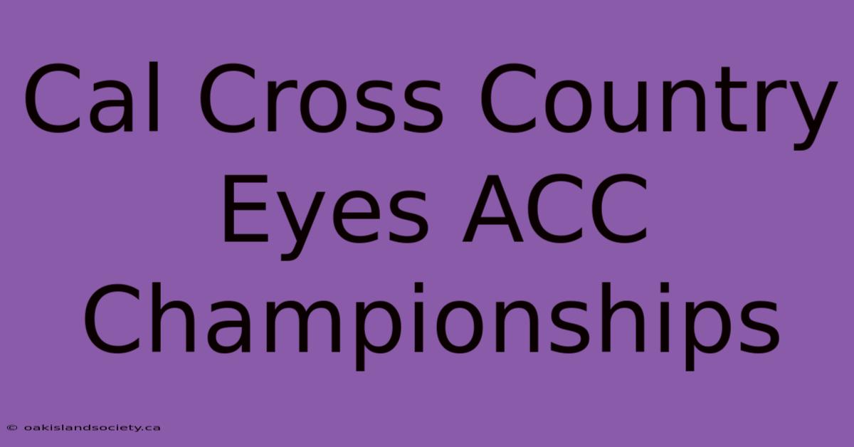 Cal Cross Country Eyes ACC Championships