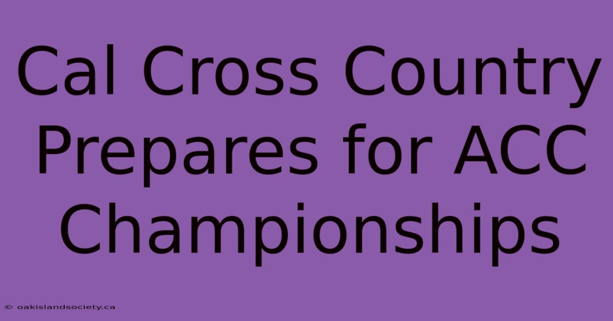 Cal Cross Country Prepares For ACC Championships