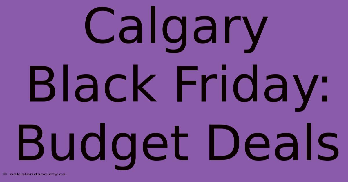 Calgary Black Friday: Budget Deals