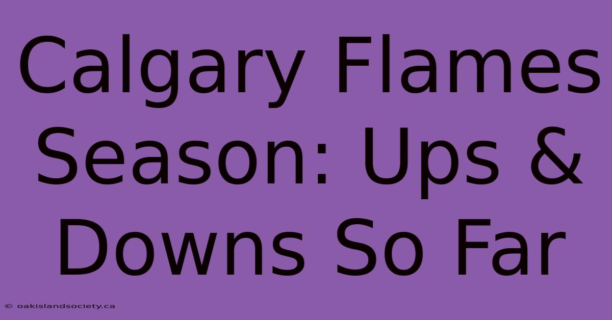 Calgary Flames Season: Ups & Downs So Far