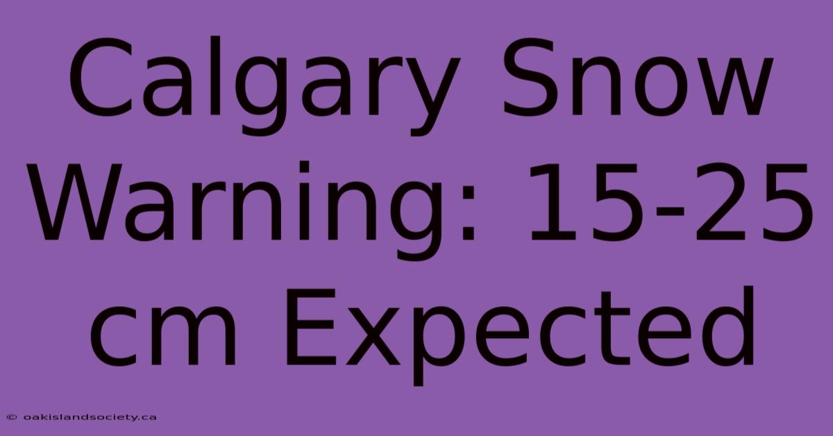 Calgary Snow Warning: 15-25 Cm Expected