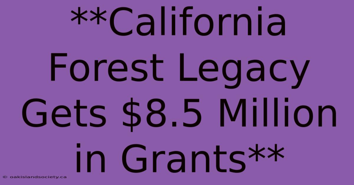 **California Forest Legacy Gets $8.5 Million In Grants**