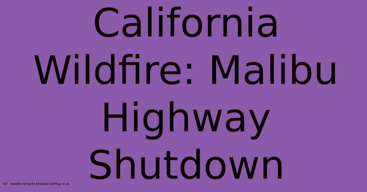 California Wildfire: Malibu Highway Shutdown