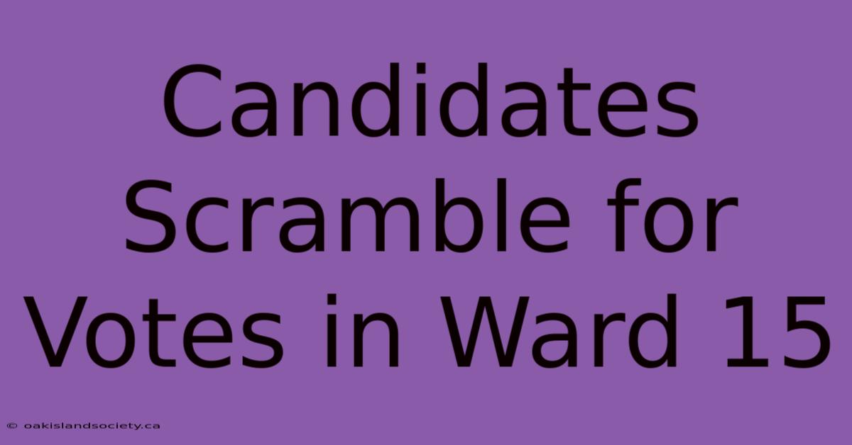 Candidates Scramble For Votes In Ward 15 