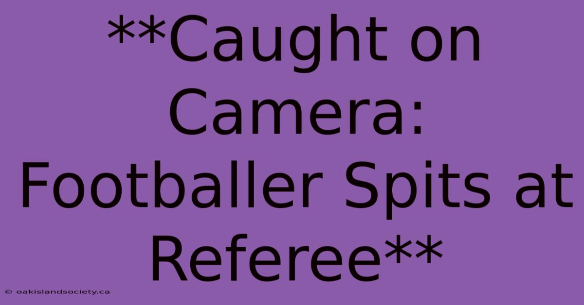 **Caught On Camera: Footballer Spits At Referee** 