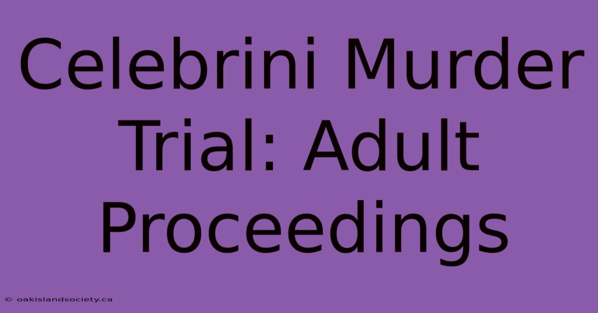 Celebrini Murder Trial: Adult Proceedings