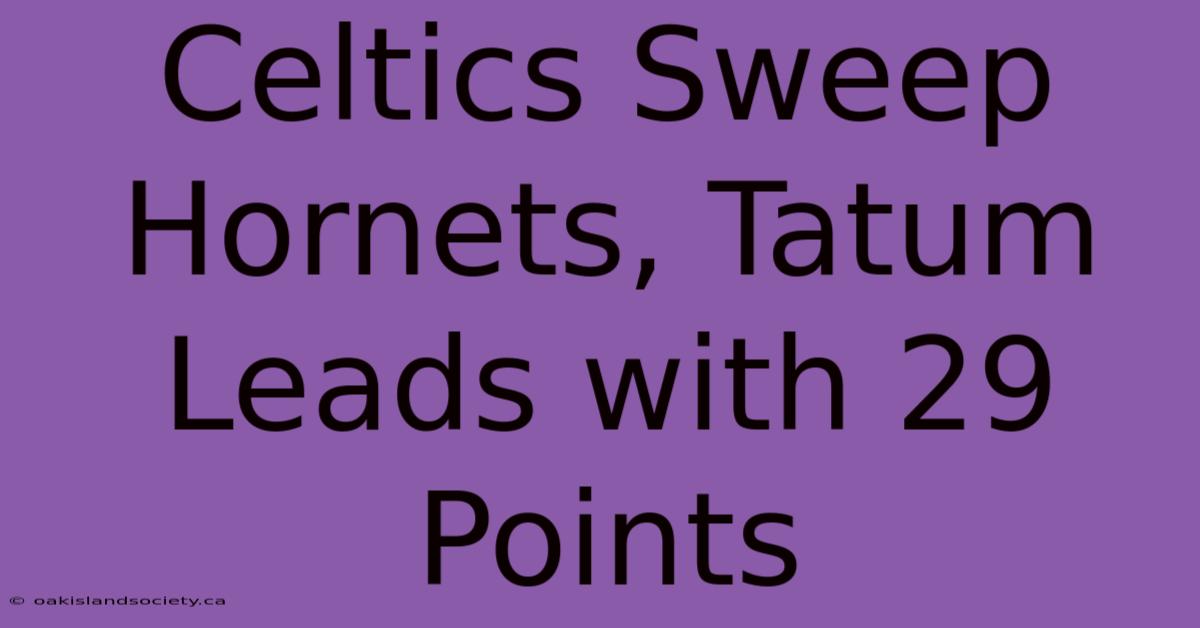 Celtics Sweep Hornets, Tatum Leads With 29 Points