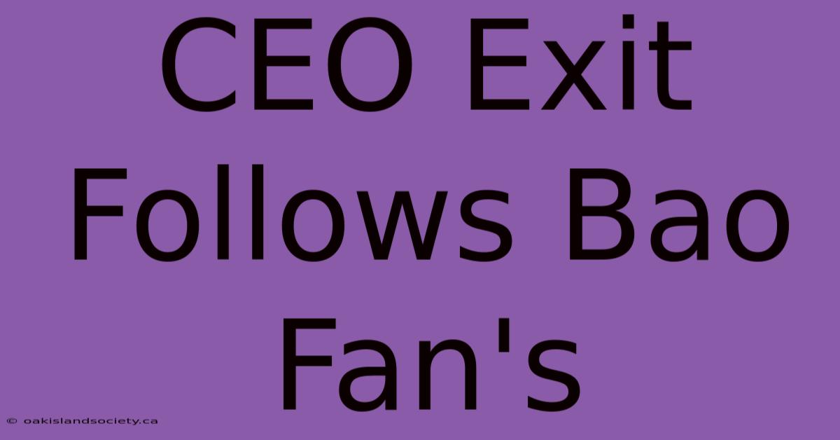 CEO Exit Follows Bao Fan's