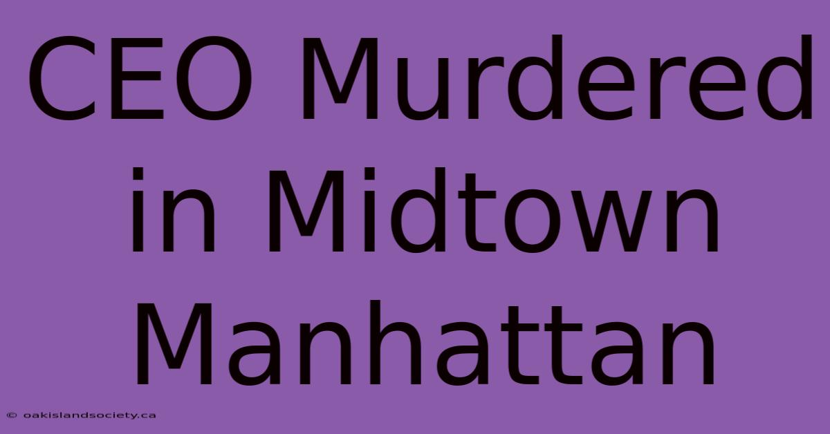 CEO Murdered In Midtown Manhattan