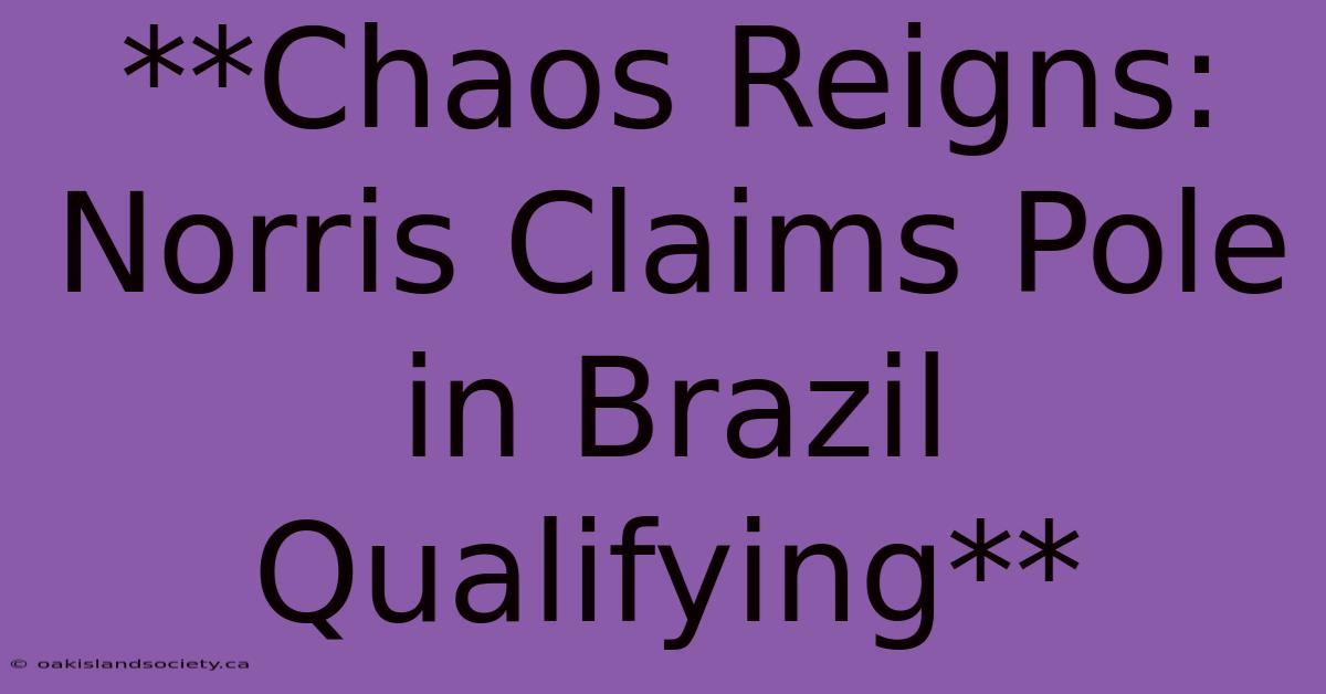 **Chaos Reigns: Norris Claims Pole In Brazil Qualifying**