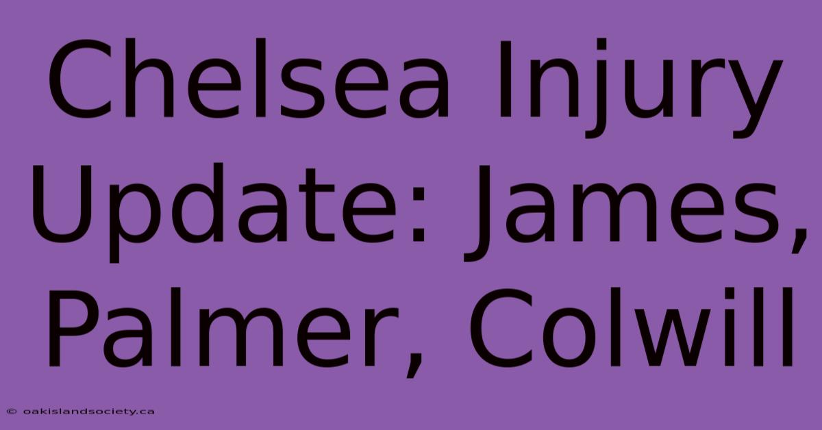 Chelsea Injury Update: James, Palmer, Colwill