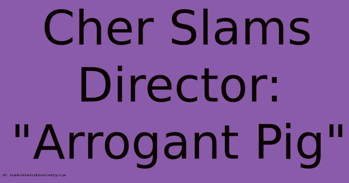 Cher Slams Director: 