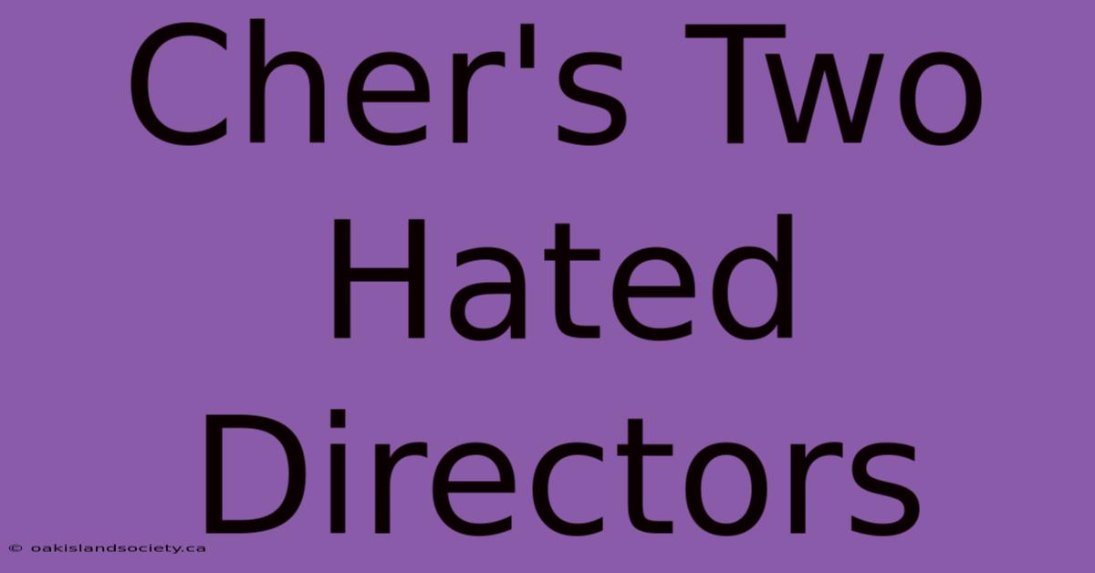 Cher's Two Hated Directors